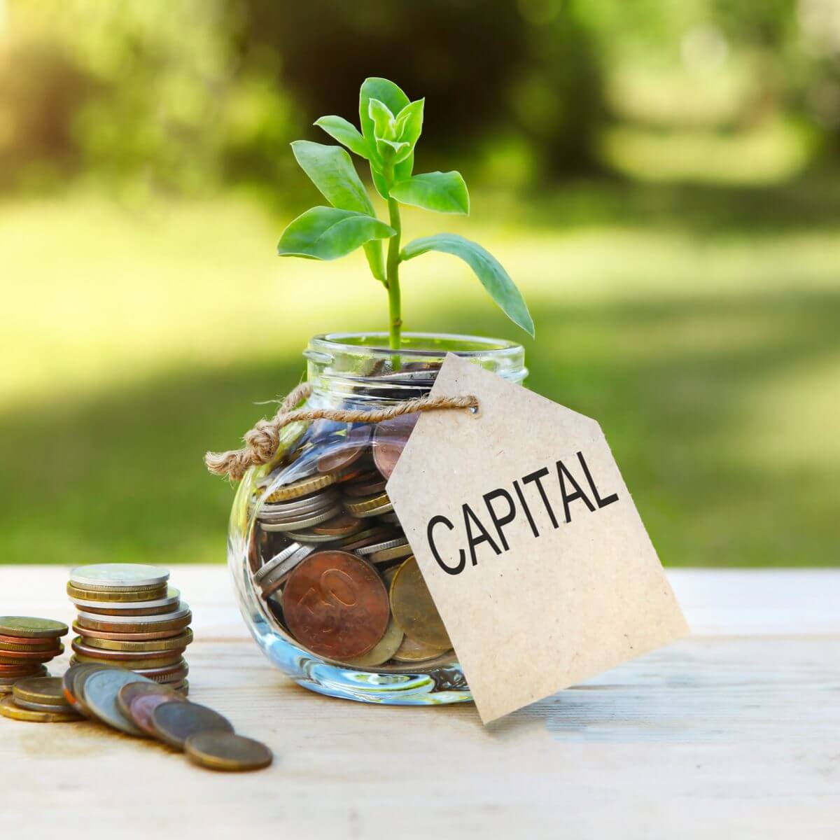 What are the Best Working Capital Loans?